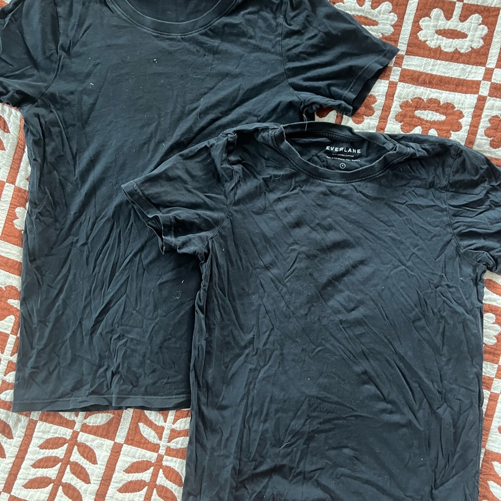 Everlane 2 Black T-Shirts